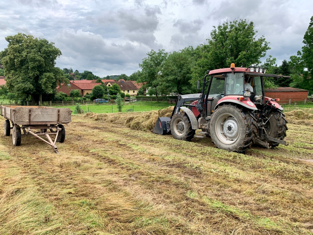 Die letzten Vorbereitungen&nbsp;II